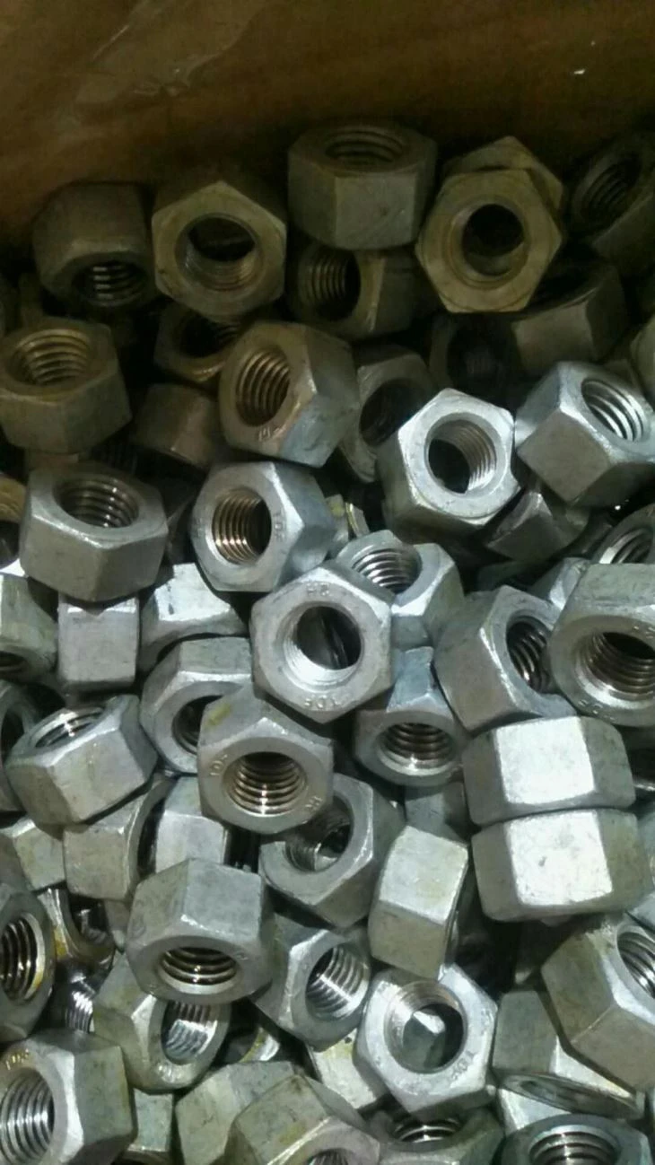 ASTM A194 2H Hex glava matica