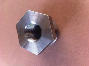 ASME B 16. 11  NPT Flush / Hex A 182  F 904 L dvostransko nerjaveče jeklo 904 L N08 904 puha